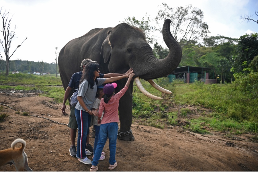 Coorg Tour Package